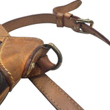 Louis Vuitton Odeon PM Crossbody Bag