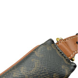 Celine Ava Bag in Triomphe Canvas